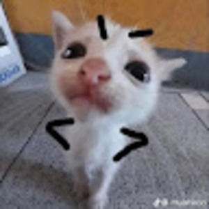 Meet your Posher, Isabel